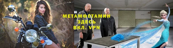 сатива Гусь-Хрустальный