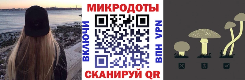 Псилоцибиновые грибы мицелий  купить наркоту  Суоярви 